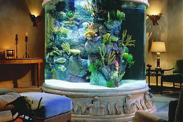 akvarijumi-morski-svet-u-enterijeru 