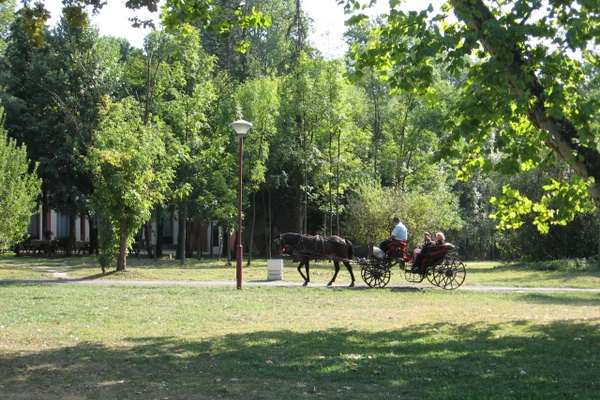 gradski-parkovi-beograda 
