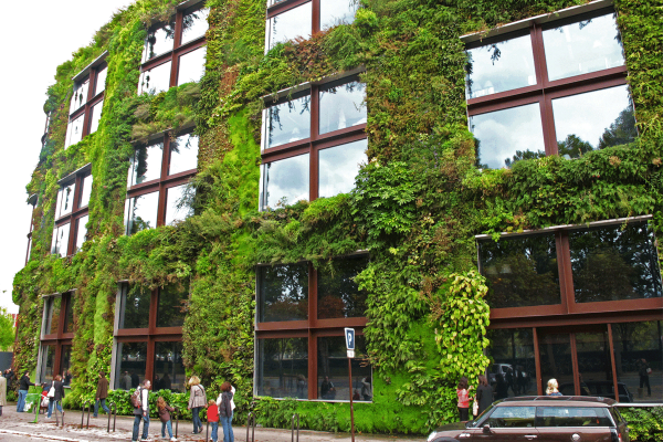 zelene-fasade 
