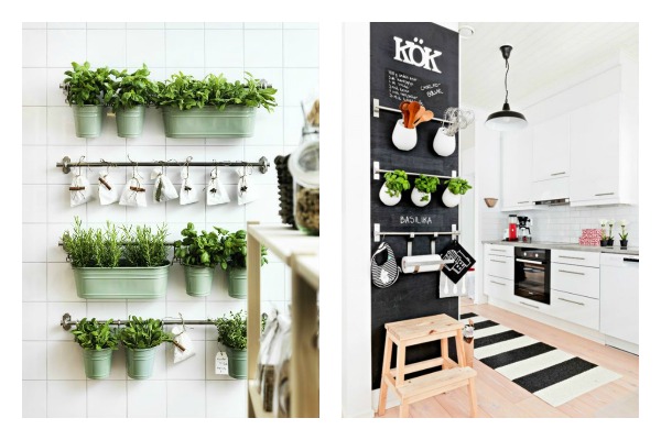 dekorisite-kuhinju-biljkama 