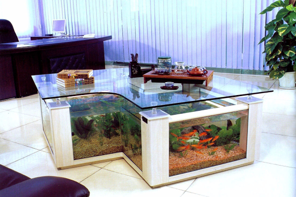 kako-pronaci-idealno-mesto-za-akvarijum 