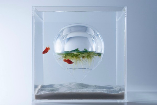 akvarijumi-izradjeni-3d-tehnologijom 