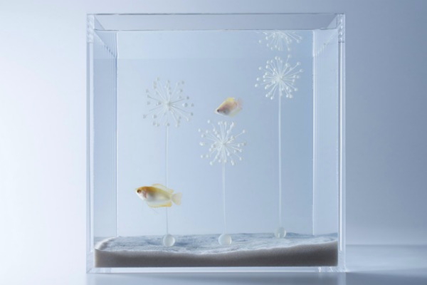 akvarijumi-izradjeni-3d-tehnologijom 