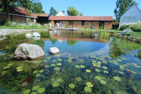 biotop-prirodni-bazeni 