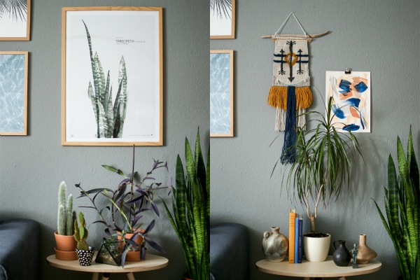 kako-da-ukrasite-dom-egzoticnim-biljkama 
