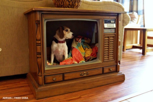 napravite-krevet-za-psa-od-starog-televizora 