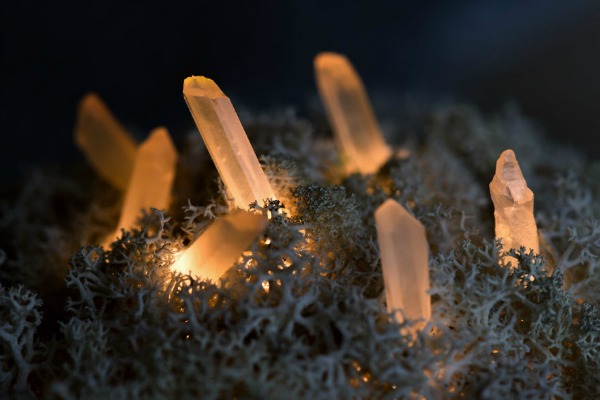 lampe-od-kristala-i-mahovine 
