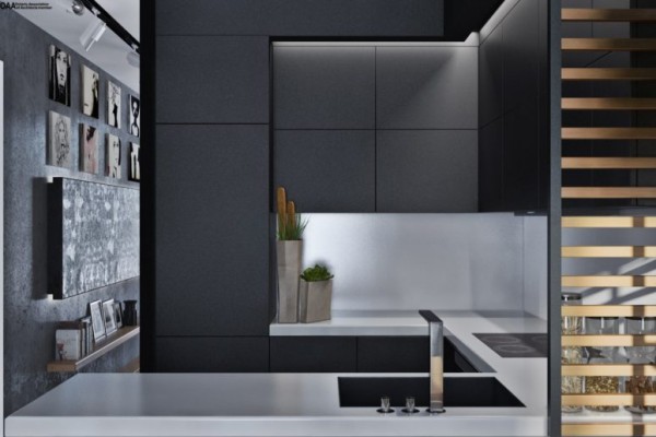 siva-i-crna-kuhinja-spojena-sa-zivotnim-prostorom 