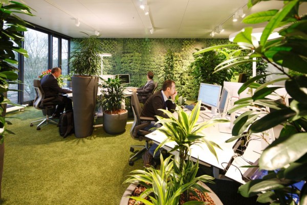 zeleni-zidovi-kancelarija-sa-karakterom 