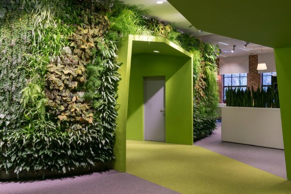 zeleni-zidovi-kancelarija-sa-karakterom 