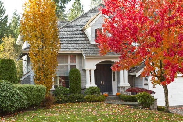 kako-da-pripremite-svoj-dom-i-dvoriste-za-jesen-i-zimu 