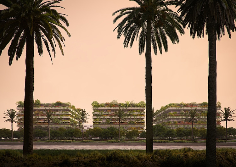 kairo-uskoro-dobija-vertikalne-zelene-zgrade 