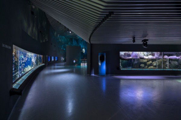 plava-planeta-je-spektakularan-akvarijum-u-danskoj 