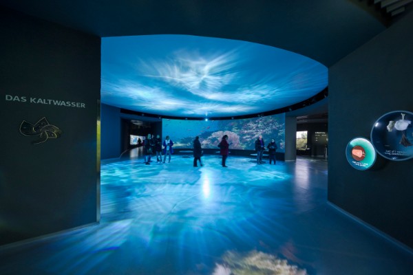 plava-planeta-je-spektakularan-akvarijum-u-danskoj 