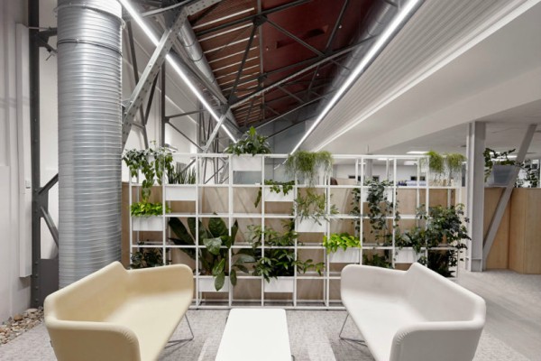 kancelarijski-prostor-u-kom-biljke-igraju-vaznu-ulogu 