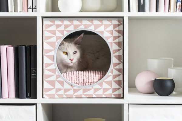IKEA otkriva svoju novu kolekciju za kućne ljubimce