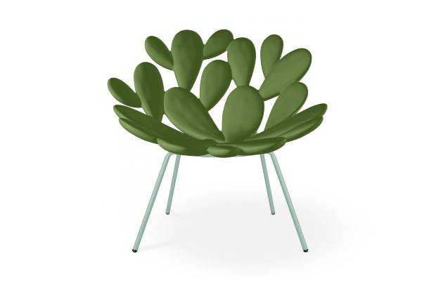 Stolice za ljubitelje kaktusa 