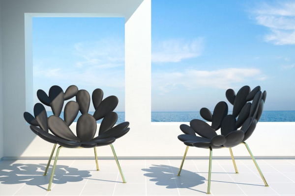 Stolice za ljubitelje kaktusa 