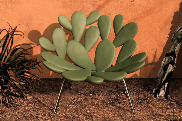 stolice-za-ljubitelje-kaktusa 