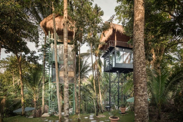 hotel-u-indoneziji-u-obliku-kucice-na-drvetu 
