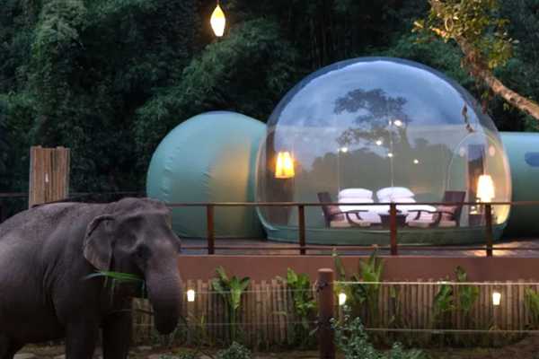 hotel-bubble-u-dzungli-tajlanda 