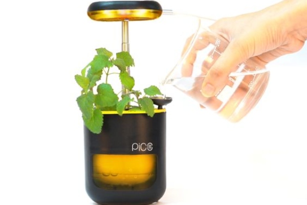 mini-vrt-pico-omogucava-rast-biljaka-uz-pomoc-svetlosti 