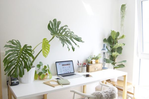 Zelena kancelarija u stanu spaja lepo i korisno