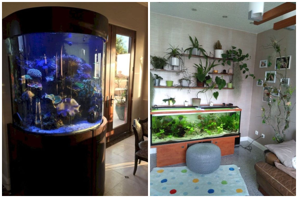 dekor-savremenog-doma-uz-pomoc-vrlo-originalnih-akvarijuma 
