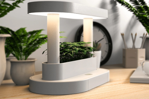 Savršena kombinacija minimalističke bašte i stone lampe u jednom