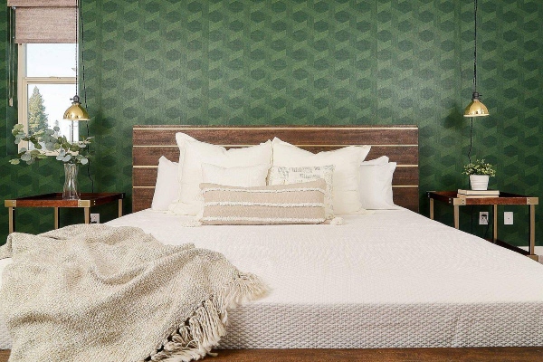 ideje-i-saveti-za-dodavanje-zelene-boje-u-spavacoj-sobi 