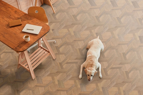 Kako odabrati pravu boju drvenog poda?