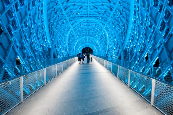 Impresivan pešački most inspirisan lepotom ukrasnog lista