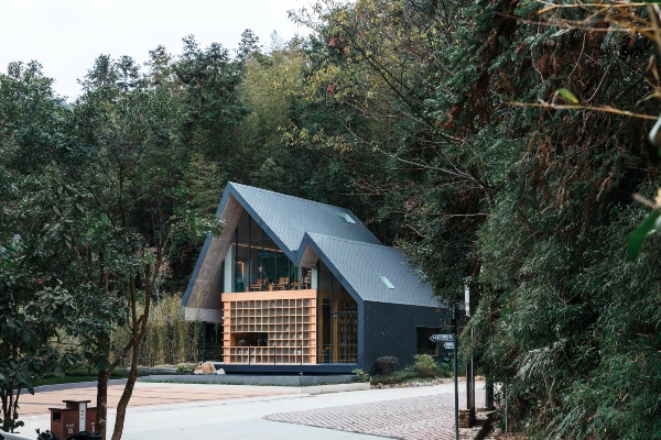 Odmor za mozak – biblioteka sa kosim krovom smeštena u srcu šume
