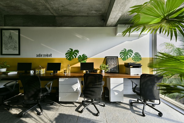 Stvaranje tropske alhemije unutar kancelarije građevinske firme