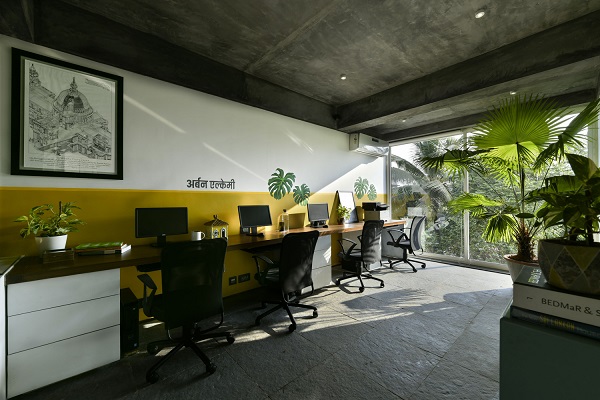 Stvaranje tropske alhemije unutar kancelarije građevinske firme