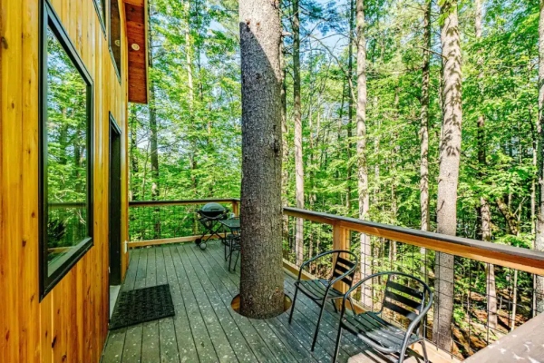 Ekološki luksuz na drvetu: kućica koja nudi sve pogodnosti klasičnog doma