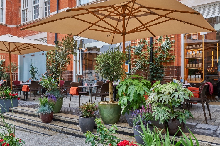  Pogled na malu ali ljupku baštu restorana Jiji u Londonu