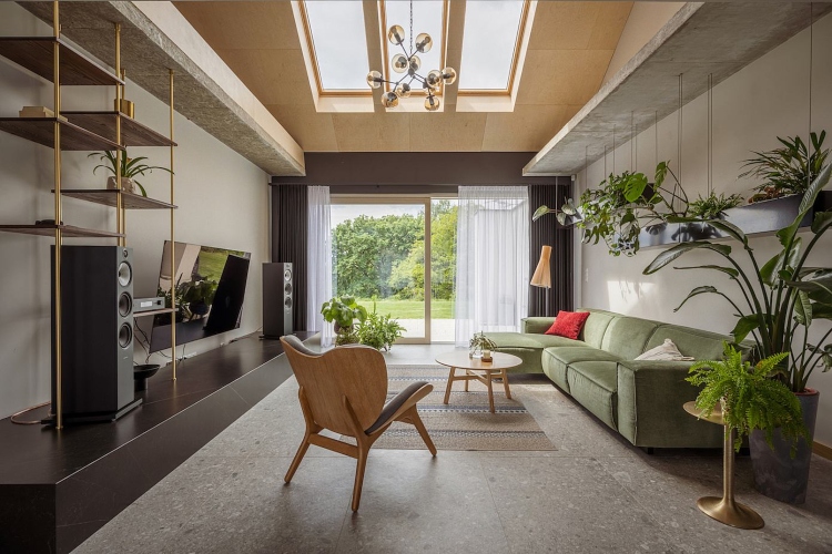  Dnevna soba opremljena u modernom organskom stilu