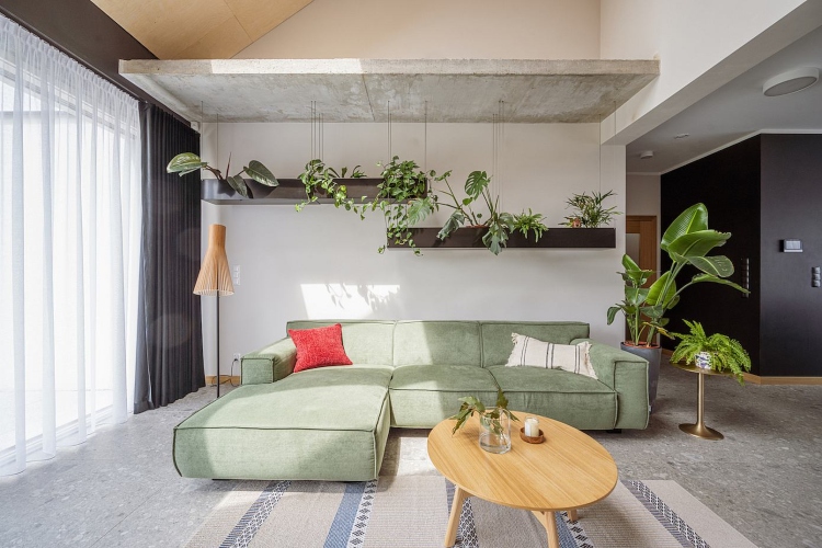  Svetla i prostrana dnevna soba opremljena u modernom organskom stilu