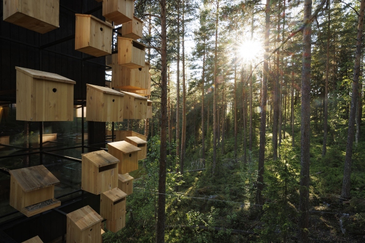  Hotel Biosfera u Švedskoj vodi računa o svom prirodnom okruženju