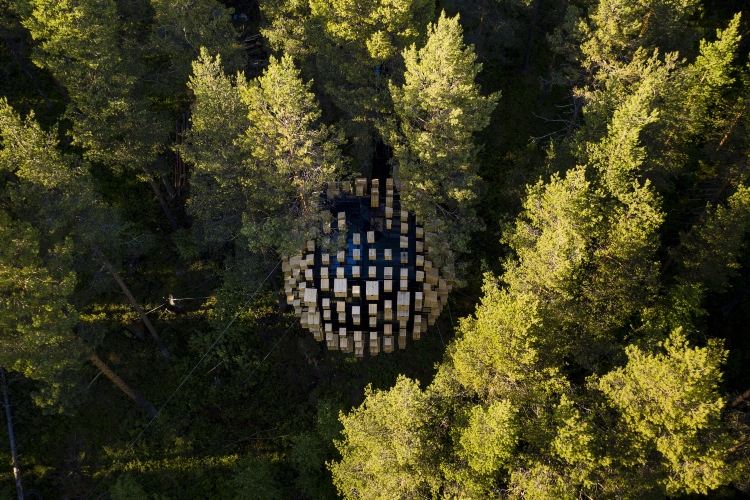  Hotel Biosfera nalazi se u gustoj borovoj šumi Švedske