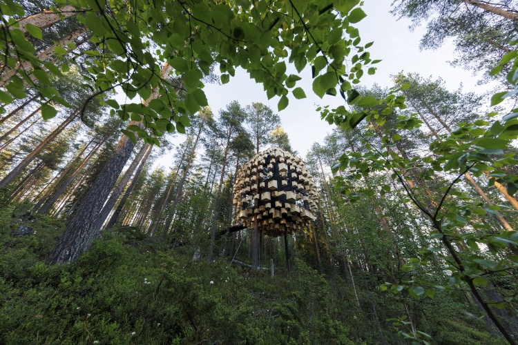  Hotel Biosphere pruža pogled na šumu od 360 stepeni