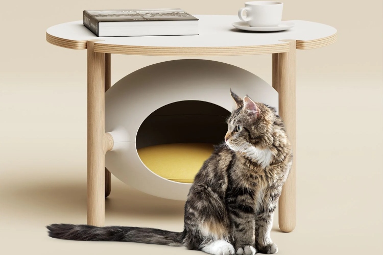  Moderan stočić za kafu služi i kao krevetić za vašu mačku