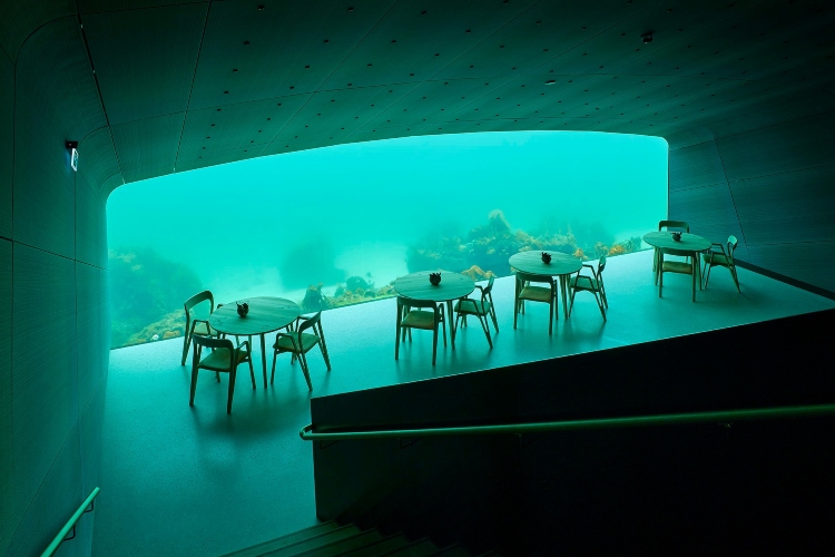  Podvodni restoran povezuje goste sa divljim životinjama koje se nalaze sa druge strane stakla