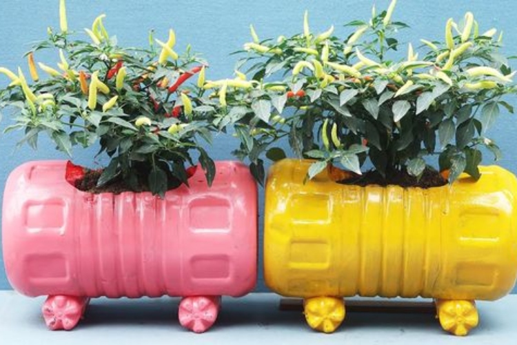 Stari plastični baloni za vodu poslužili za stvaranje veselog voza sa cvećem