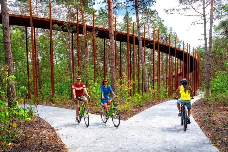  Biciklistički most se postepeno diže u visinu od 10 metara
