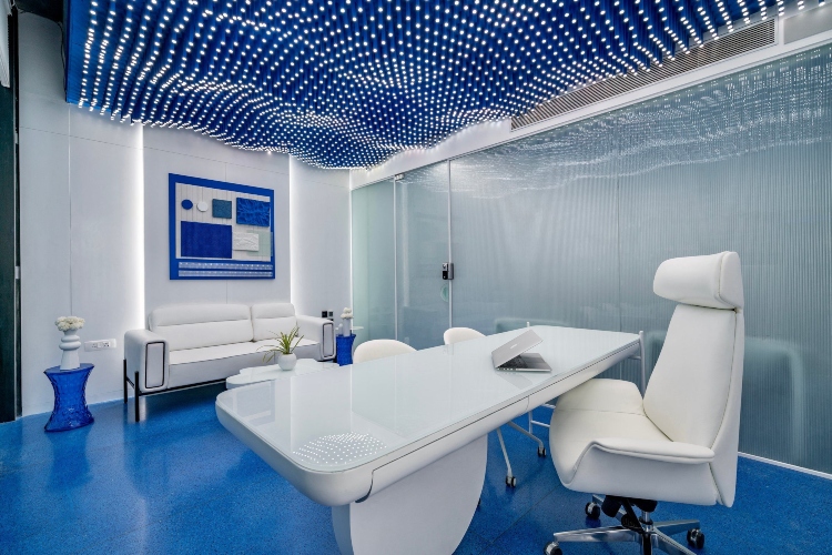  Plava boja u kombinaciji sa belom je odličan izbor za moderan kancelarijski prostor