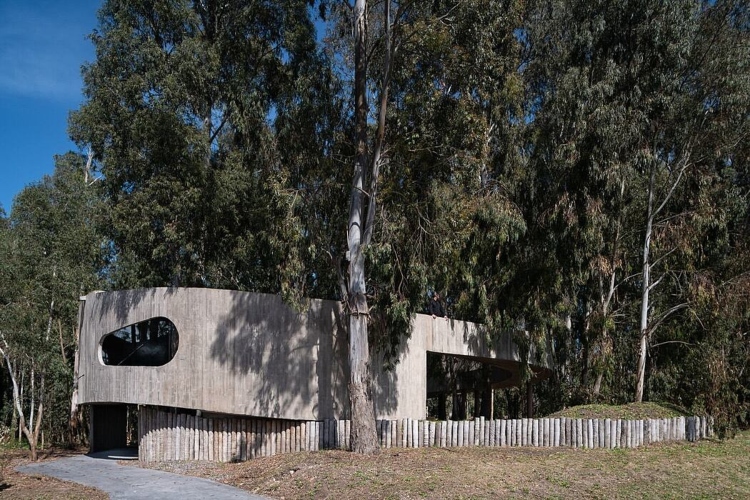  Pogled na veliku betonsku vilu koja se nalazi u srcu eukaliptusove šume