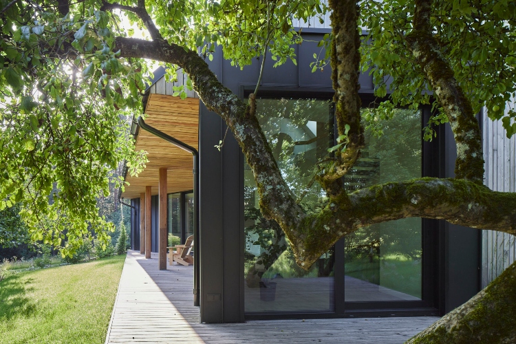  Porodična kuća u šumi je kombinacija drveta, stakla i metala