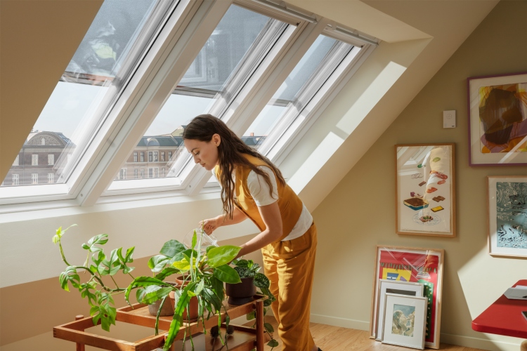 velux-dsp-4 